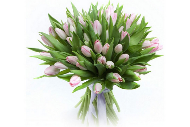 милые дамы, с праздником!