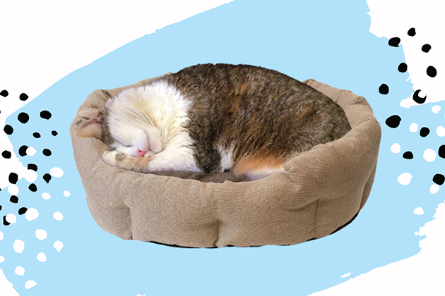 лінуйтеся з користю