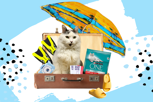 літні канікули студії “ошо”!