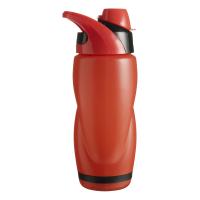 Бутылка пластиковая 650 мл  со своей надписью