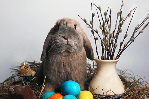 вітаємо вас із великоднем!